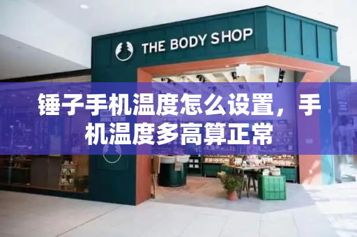 锤子手机温度怎么设置，手机温度多高算正常-第1张图片-星选测评