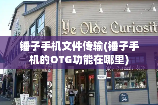 锤子手机文件传输(锤子手机的OTG功能在哪里)-第1张图片-星选测评
