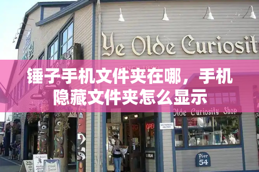 锤子手机文件夹在哪，手机隐藏文件夹怎么显示-第1张图片-星选测评