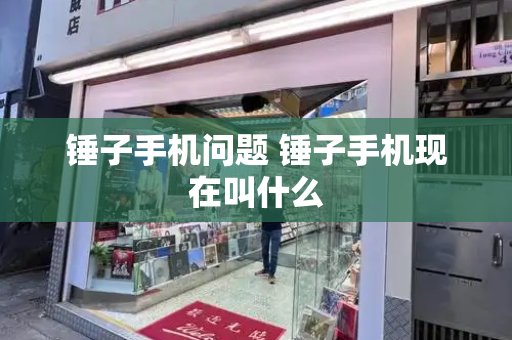 锤子手机问题 锤子手机现在叫什么
