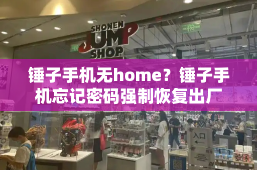 锤子手机无home？锤子手机忘记密码强制恢复出厂-第1张图片-星选测评