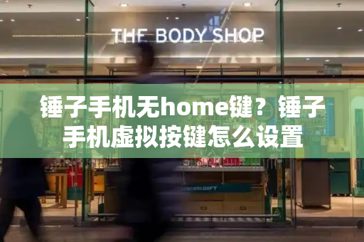 锤子手机无home键？锤子手机虚拟按键怎么设置-第1张图片-星选测评