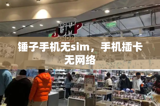 锤子手机无sim，手机插卡无网络-第1张图片-星选测评