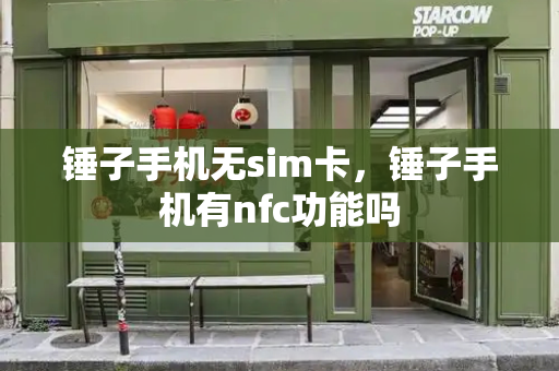 锤子手机无sim卡，锤子手机有nfc功能吗-第1张图片-星选测评