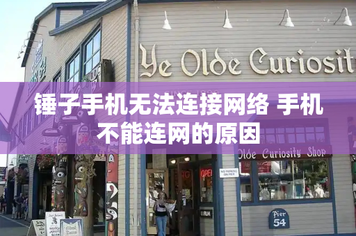 锤子手机无法连接网络 手机不能连网的原因