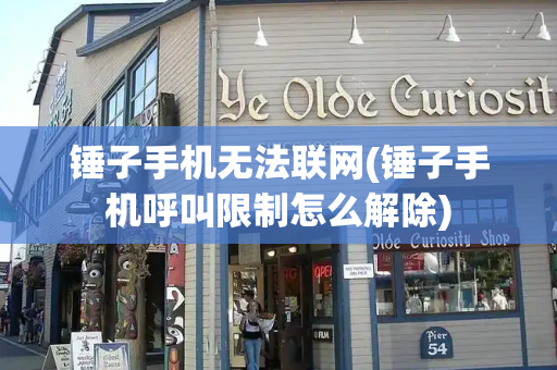 锤子手机无法联网(锤子手机呼叫限制怎么解除)-第1张图片-星选测评