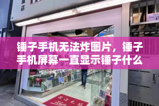 锤子手机无法炸图片，锤子手机屏幕一直显示锤子什么原因-第1张图片-星选测评