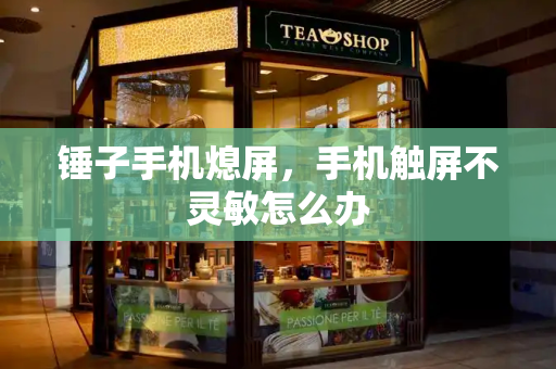 锤子手机熄屏，手机触屏不灵敏怎么办-第1张图片-星选测评