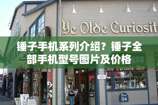 锤子手机系列介绍？锤子全部手机型号图片及价格-第1张图片-星选测评