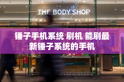 锤子手机系统 刷机 能刷最新锤子系统的手机-第1张图片-星选测评