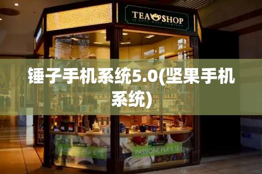 锤子手机系统5.0(坚果手机系统)