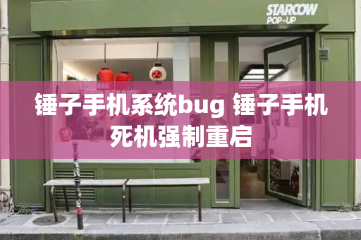 锤子手机系统bug 锤子手机死机强制重启