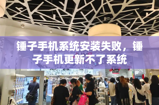 锤子手机系统安装失败，锤子手机更新不了系统-第1张图片-星选测评