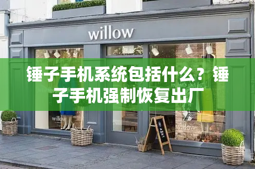 锤子手机系统包括什么？锤子手机强制恢复出厂-第1张图片-星选测评