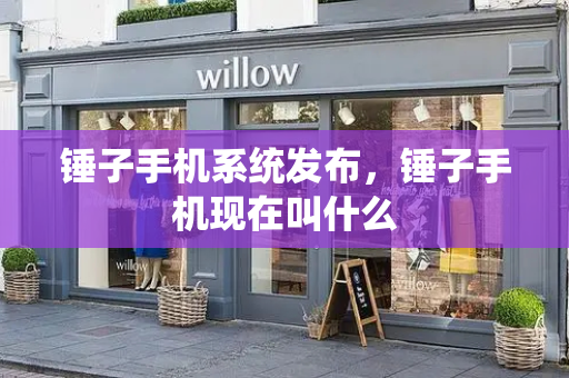 锤子手机系统发布，锤子手机现在叫什么-第1张图片-星选测评