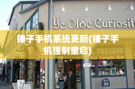 锤子手机系统更新(锤子手机强制重启)-第1张图片-星选测评