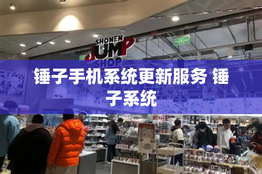 锤子手机系统更新服务 锤子系统-第1张图片-星选测评