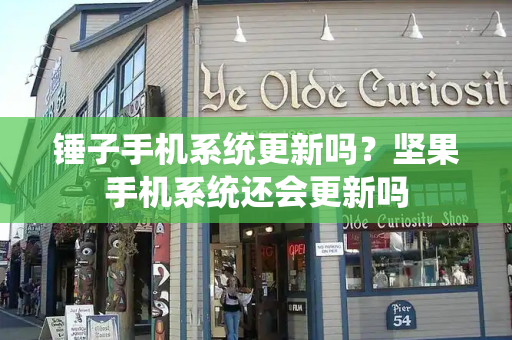 锤子手机系统更新吗？坚果手机系统还会更新吗
