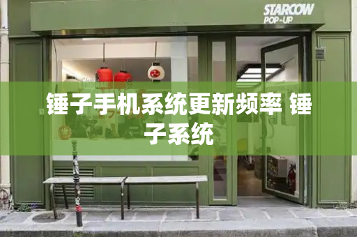 锤子手机系统更新频率 锤子系统-第1张图片-星选测评