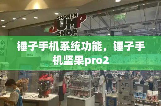 锤子手机系统功能，锤子手机坚果pro2