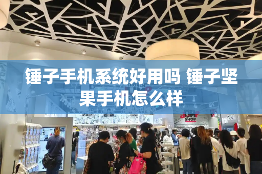 锤子手机系统好用吗 锤子坚果手机怎么样