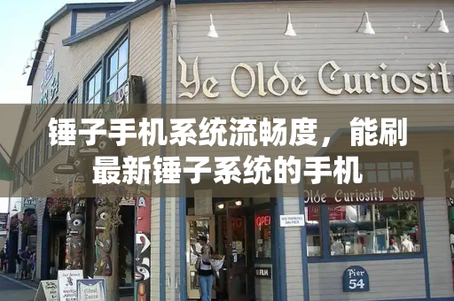 锤子手机系统流畅度，能刷最新锤子系统的手机-第1张图片-星选测评