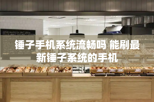 锤子手机系统流畅吗 能刷最新锤子系统的手机-第1张图片-星选测评
