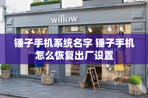 锤子手机系统名字 锤子手机怎么恢复出厂设置-第1张图片-星选测评
