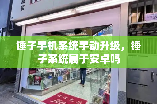 锤子手机系统手动升级，锤子系统属于安卓吗-第1张图片-星选测评