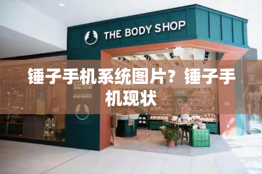 锤子手机系统图片？锤子手机现状