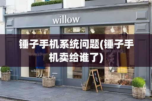 锤子手机系统问题(锤子手机卖给谁了)-第1张图片-星选测评