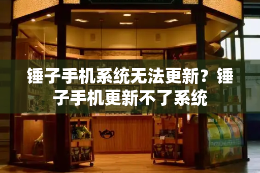 锤子手机系统无法更新？锤子手机更新不了系统-第1张图片-星选测评