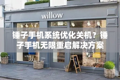 锤子手机系统优化关机？锤子手机无限重启解决方案-第1张图片-星选测评