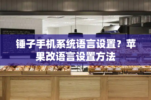 锤子手机系统语言设置？苹果改语言设置方法