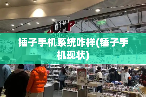 锤子手机系统咋样(锤子手机现状)