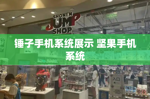 锤子手机系统展示 坚果手机系统-第1张图片-星选测评