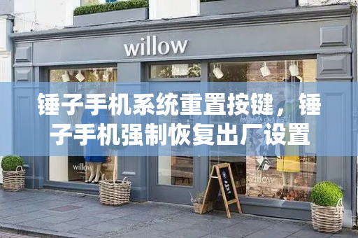 锤子手机系统重置按键，锤子手机强制恢复出厂设置-第1张图片-星选测评