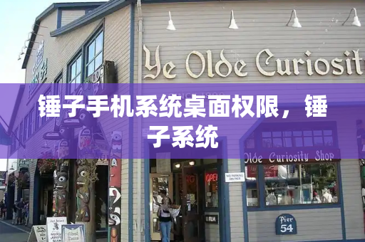 锤子手机系统桌面权限，锤子系统
