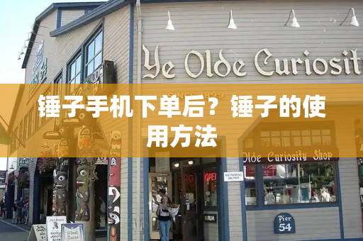 锤子手机下单后？锤子的使用方法-第1张图片-星选测评
