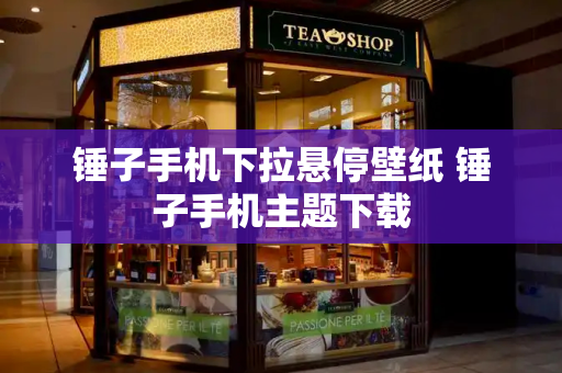 锤子手机下拉悬停壁纸 锤子手机主题下载