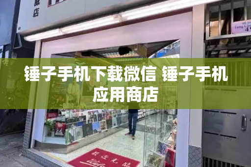 锤子手机下载微信 锤子手机应用商店-第1张图片-星选测评