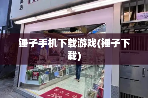 锤子手机下载游戏(锤子下载)-第1张图片-星选测评