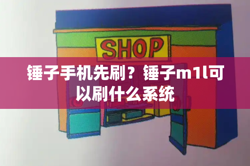 锤子手机先刷？锤子m1l可以刷什么系统-第1张图片-星选测评