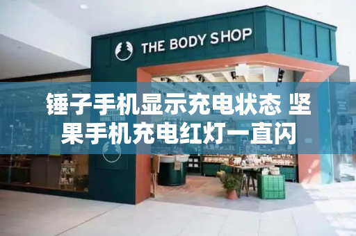 锤子手机显示充电状态 坚果手机充电红灯一直闪