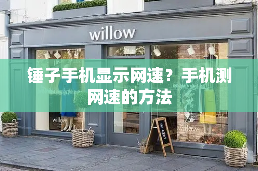 锤子手机显示网速？手机测网速的方法