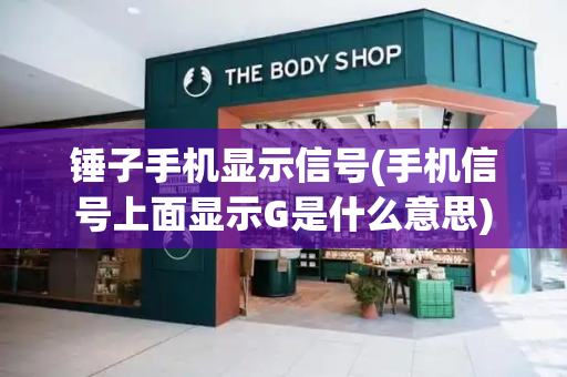 锤子手机显示信号(手机信号上面显示G是什么意思)