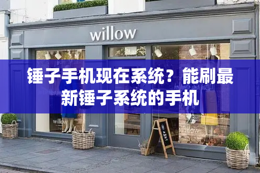 锤子手机现在系统？能刷最新锤子系统的手机