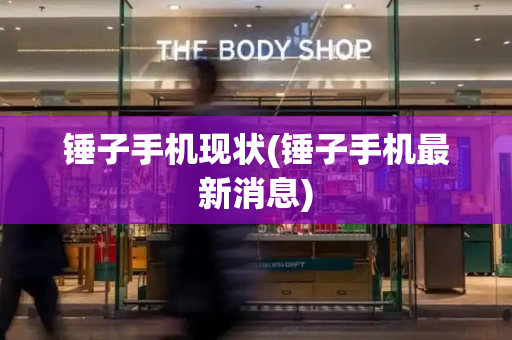 锤子手机现状(锤子手机最新消息)