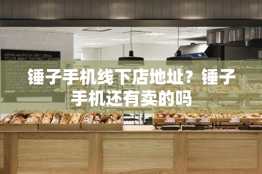 锤子手机线下店地址？锤子手机还有卖的吗-第1张图片-星选测评