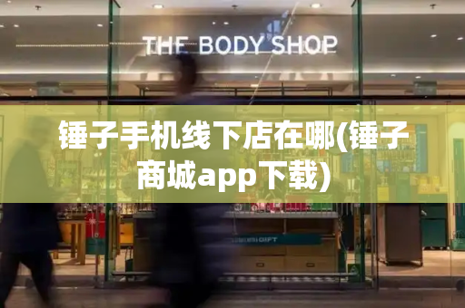 锤子手机线下店在哪(锤子商城app下载)